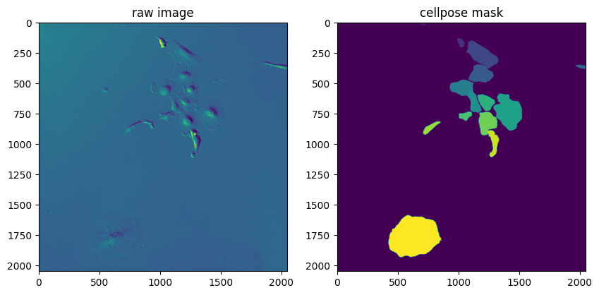 ../../_images/livecellx_notebooks_tutorials_tutorial_predict_cellpose_A549_4_1.png