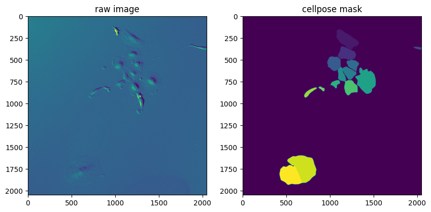 ../../_images/livecellx_notebooks_tutorials_tutorial_predict_cellpose_A549_4_3.png